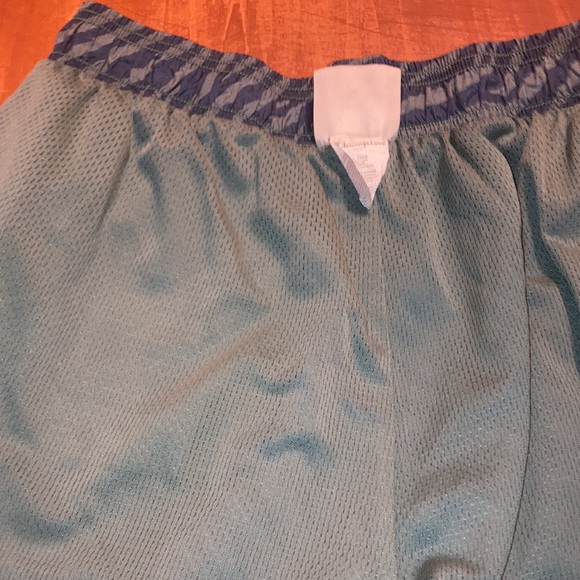 🦓🏀 Green x Blue Zebra Baller Basketball Shorts by Champion Size Medium 💎🪄 - Picture 9 of 9